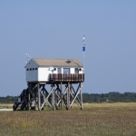 10 St Peter Ording IMGP9883-x