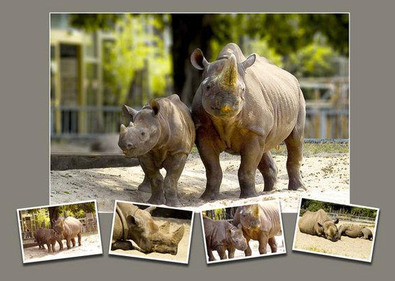 mutter und kind mutter und kind