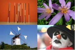 A Collage