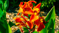 R.Brendel Berggarten IMG_7265.jpg