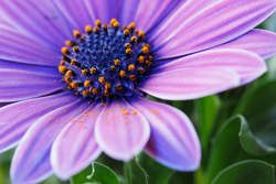 B IMG_9908 R.Brendel.jpg